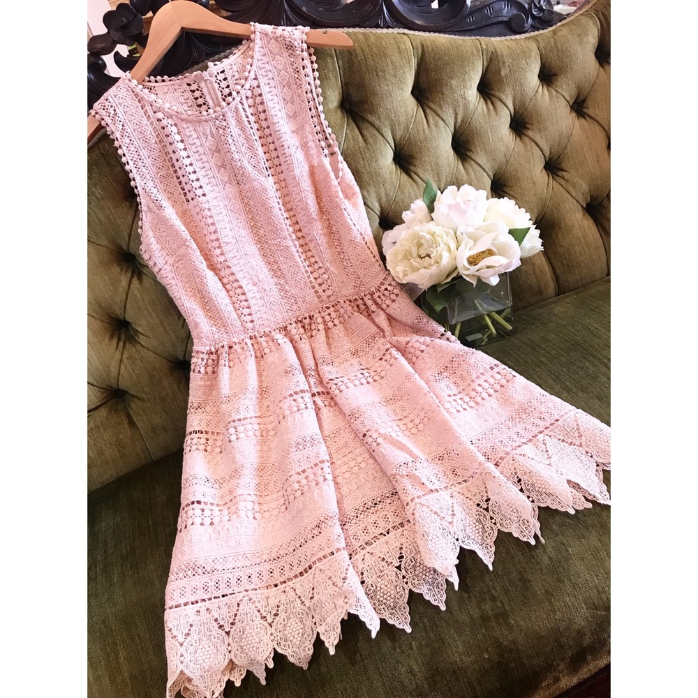 lace fit n flare dress